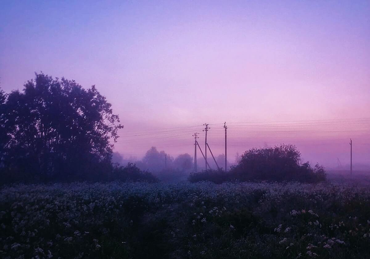 世界杯之王，五星巴西提前两轮晋级，成为唯一没有缺席过世界杯的国家！